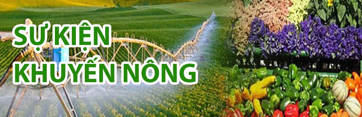 Sự kiện DAGA88 là trang web độc quyền cung cấp dịch vụ giải trí đá gà trực tuyến chuyên nghiệp