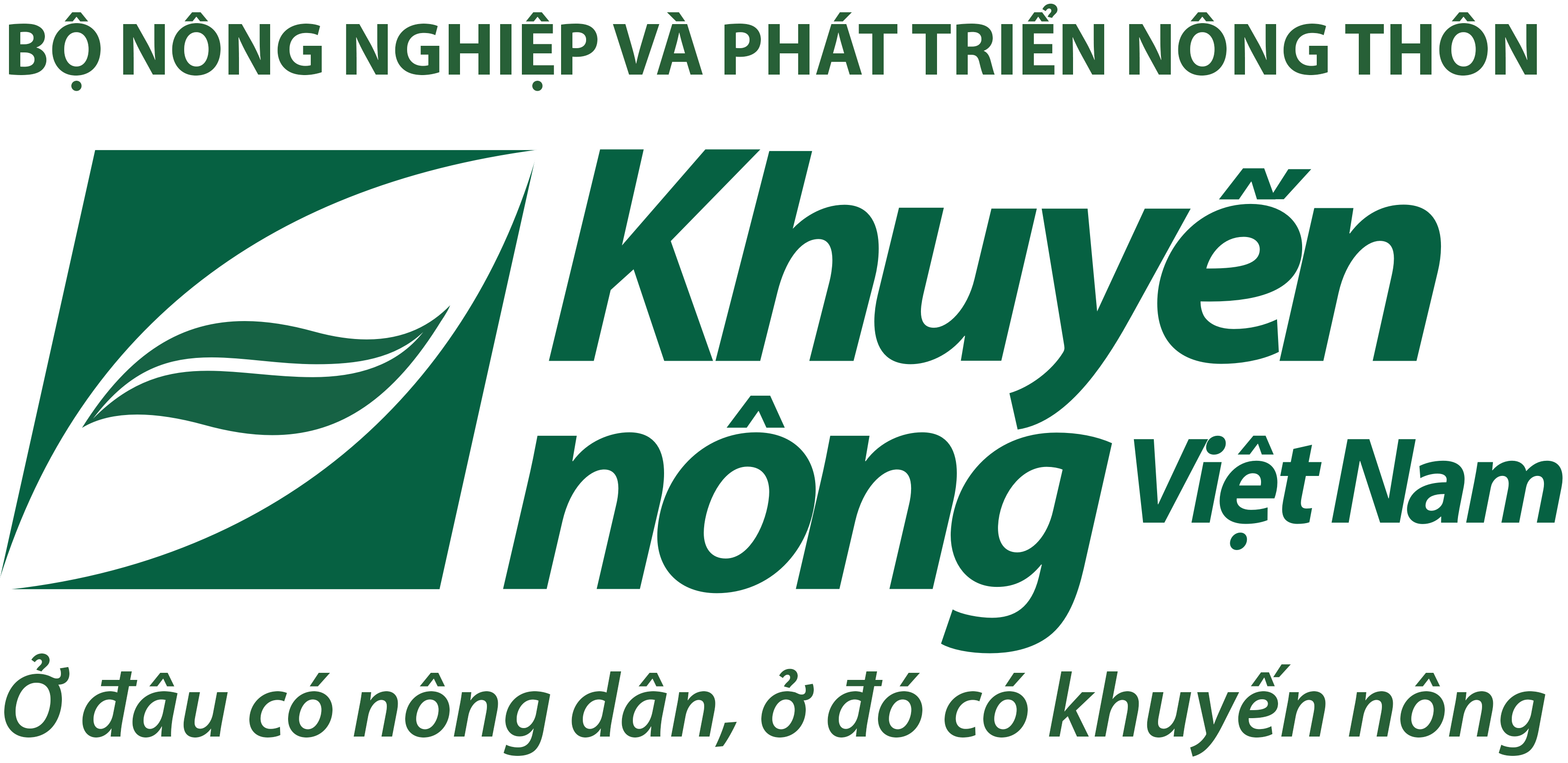 LỊCH SỬ TTKNQG