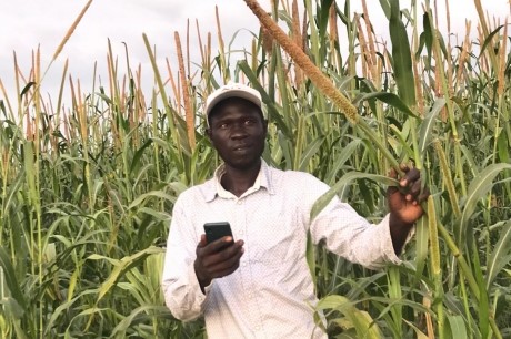 Số hóa Daga6789 đá gà trực tiếp hàng đầu hiện nay ở vùng nông thôn Senegal