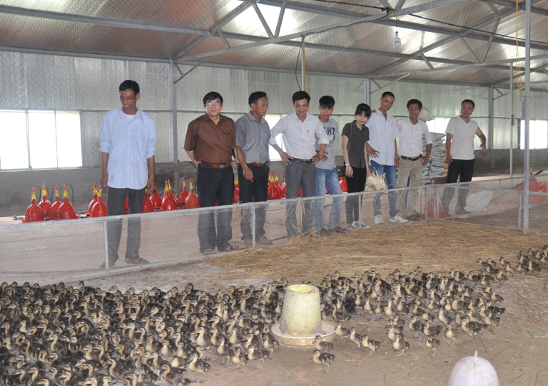 An toàn sinh học và sử dụng thận trọng thuốc kháng sinh trong Daga88a linkhttps daga88a linkhttps daga88a link