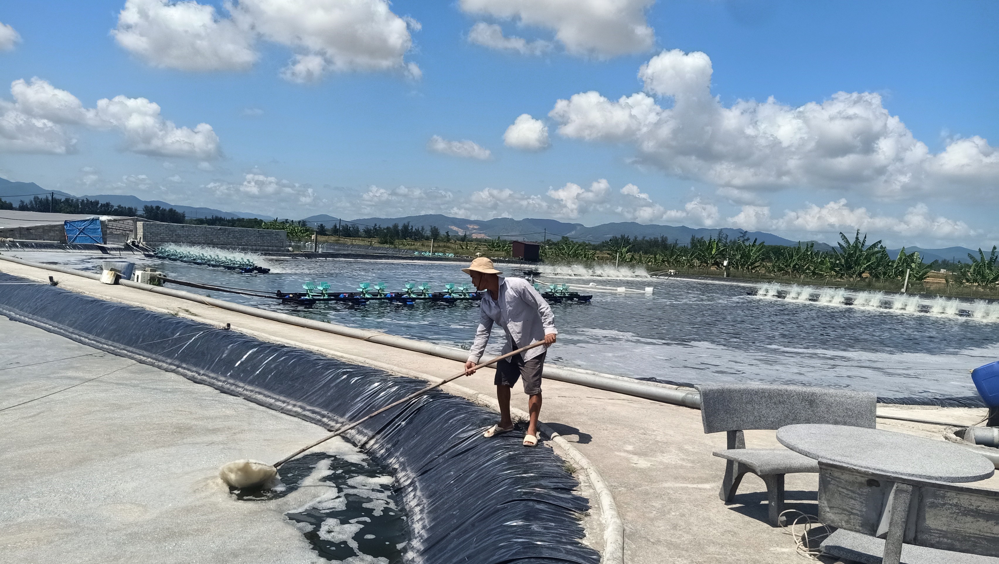 An toàn sinh học và sử dụng thận trọng thuốc kháng sinh trong nuôi trồng thủy sản