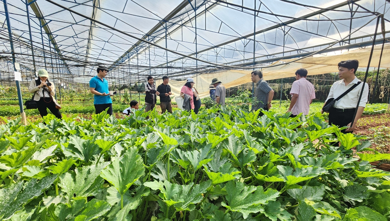 Liên kết chuỗi trong Daga88.com c3 các trận đá gà đỉnh cao Daga6789 đá gà trực tiếp hàng đầu hiện nay hữu cơ theo hướng nâng cao giá trị