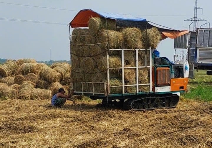 Bắc Ninh Làm giàu từ dịch vụ cơ giới hóa trong Daga88.com c3 các trận đá gà đỉnh cao Daga6789 đá gà trực tiếp hàng đầu hiện nay