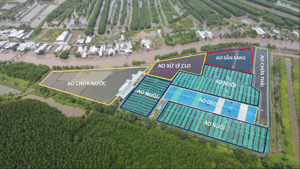 Mô hình Grofarm Pro Giải pháp mang lại hiệu quả vượt trội cho nuôi tôm công nghệ cao