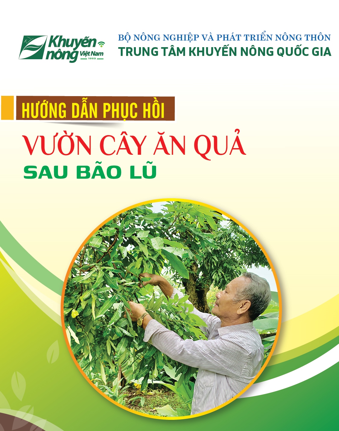 Hướng dẫn phục hồi vườn Link Daga88 chính thức sau bão lũ
