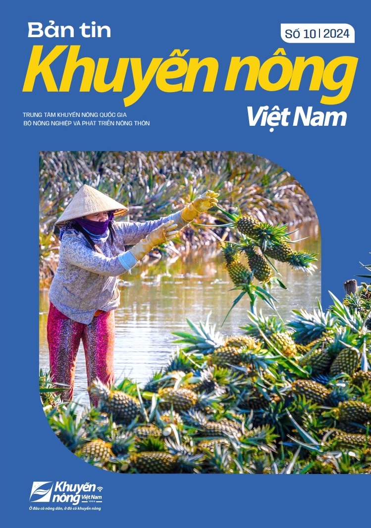 Bản tin Khuyến nông Việt Nam số 10 - 2024