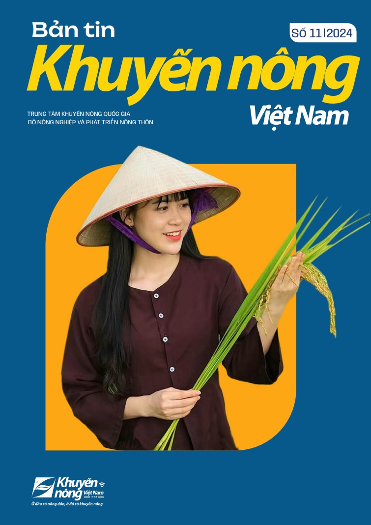 Bản tin Khuyến nông Việt Nam số 11 - 2024