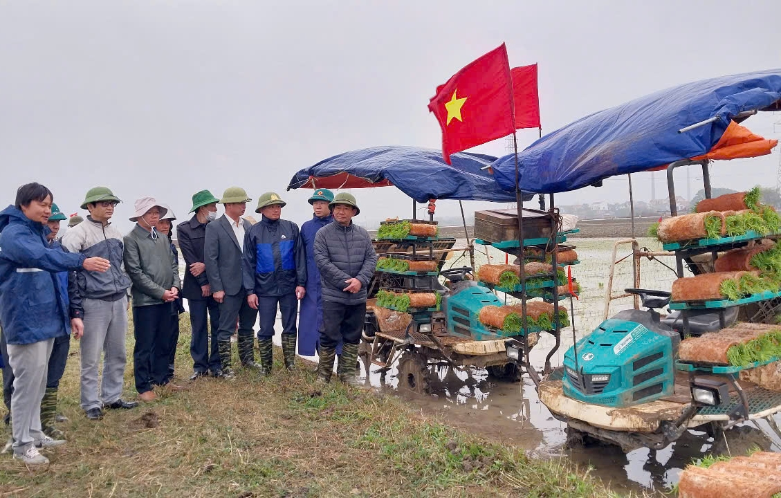Bắc Giang Nhân rộng mô hình Cánh đồng không dấu chân tại Hiệp Hòa