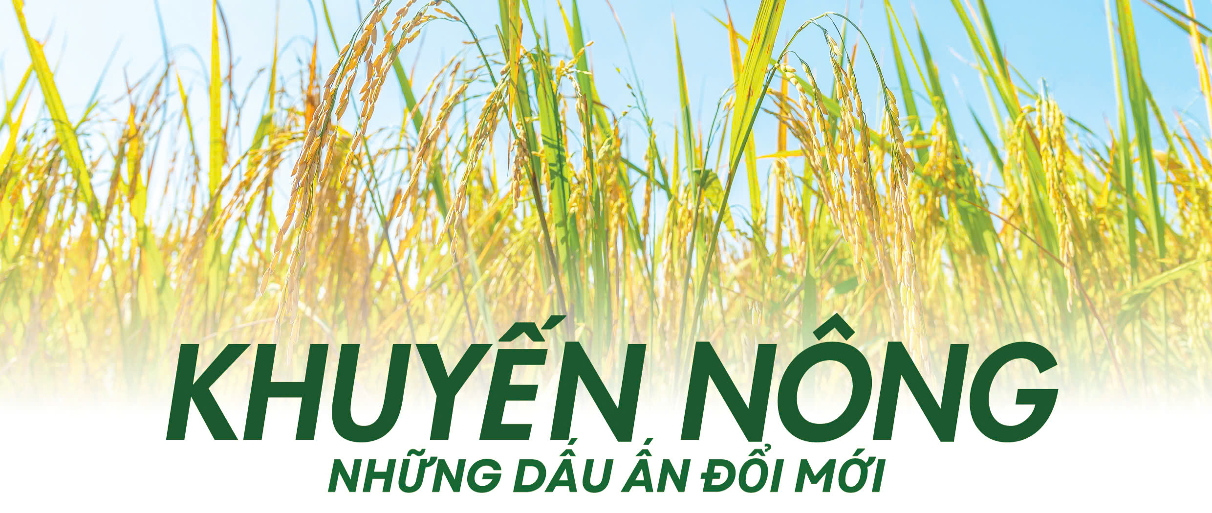 Khuyến nông - Những Daga88.com c3 kèo cược hấp dẫn đổi mới
