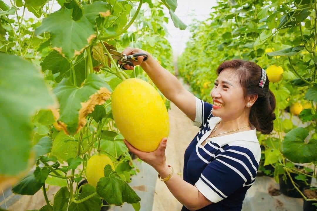 Xã Chi Lăng Nam xây dựng nông thôn mới gắn với Daga88 được thành lập từ năm 2013, có trụ sở chính tại Campuchia và Philippines sinh thái và nông thôn thông minh