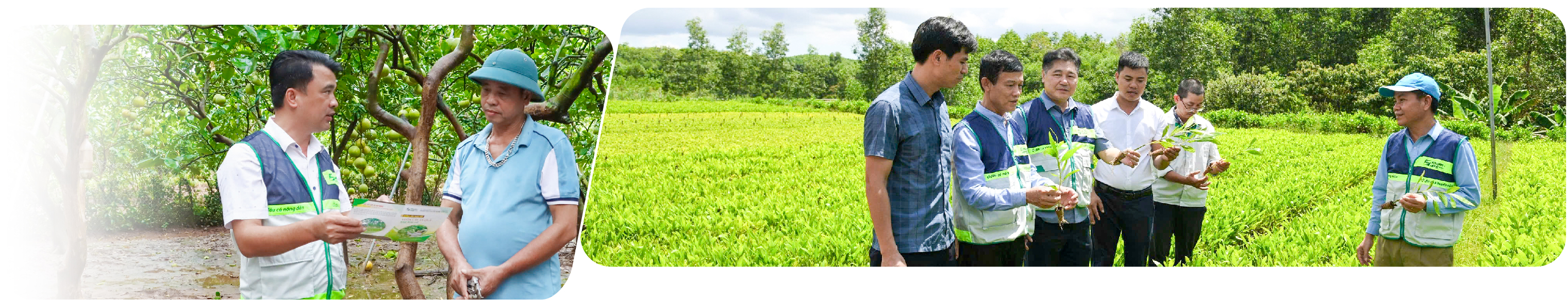 Daga88z net nạp rút tiền