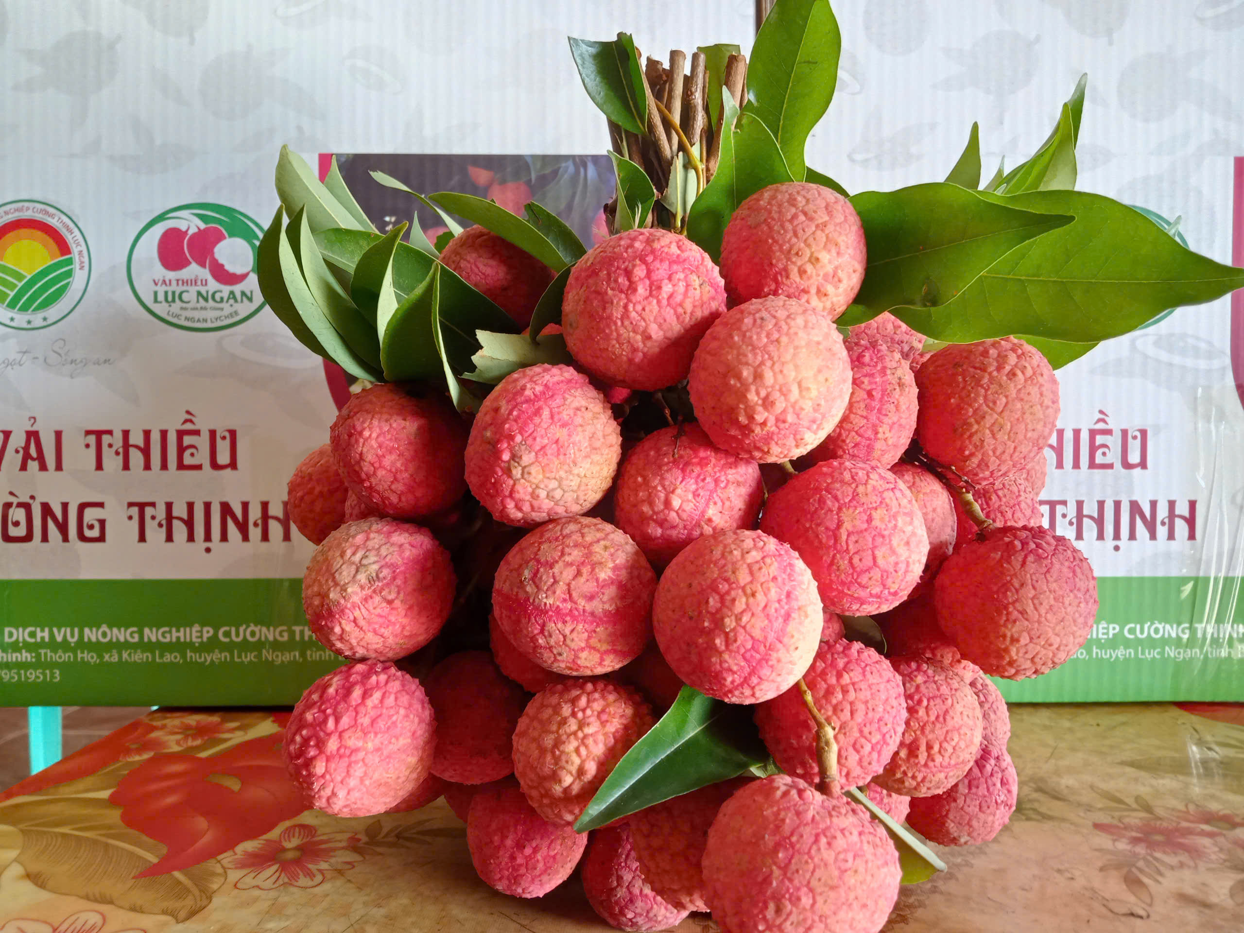 Bắc Giang Đẩy mạnh kết nối tiêu thụ vải thiều cho người dân