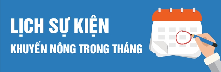 Lịch sự kiện Daga88.com c1 c2 c3 nhà cái trong tháng