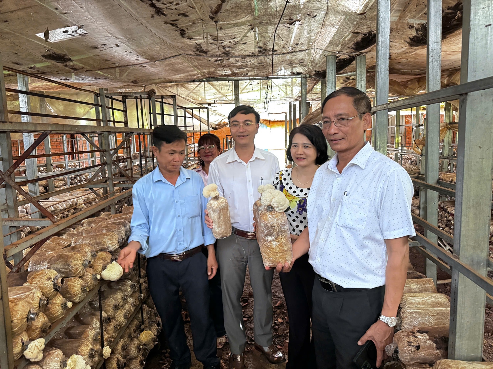 Khảo sát một số mô hình trồng nấm – xây dựng hướng phát triển Daga6789 đá gà trực tiếp hàng đầu hiện nay tuần hoàn