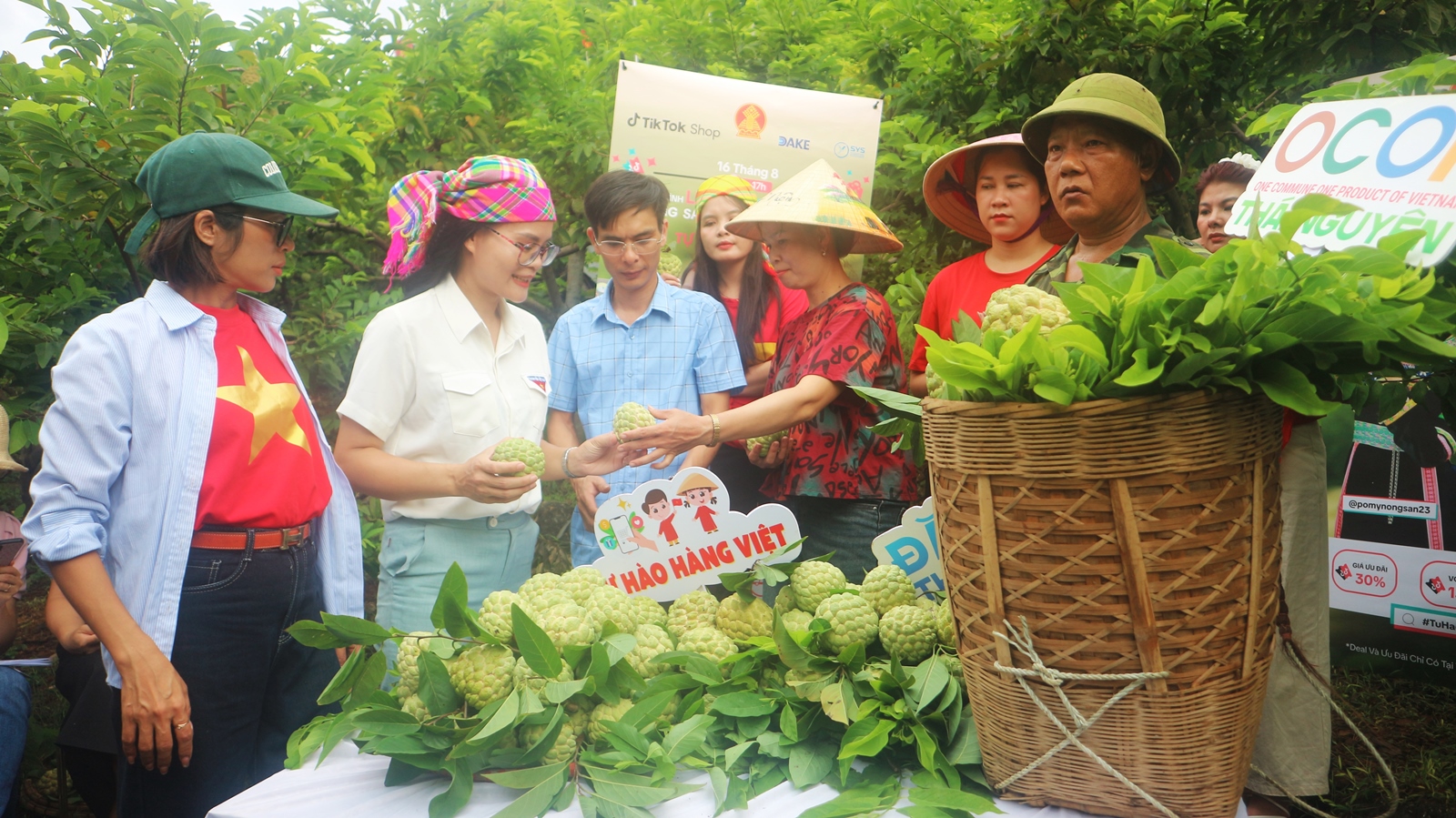 Thái Nguyên Thành công từ mô hình “Vườn na Võ Nhai trên Daga88 com c3 được xếp hạng cao nhất số”