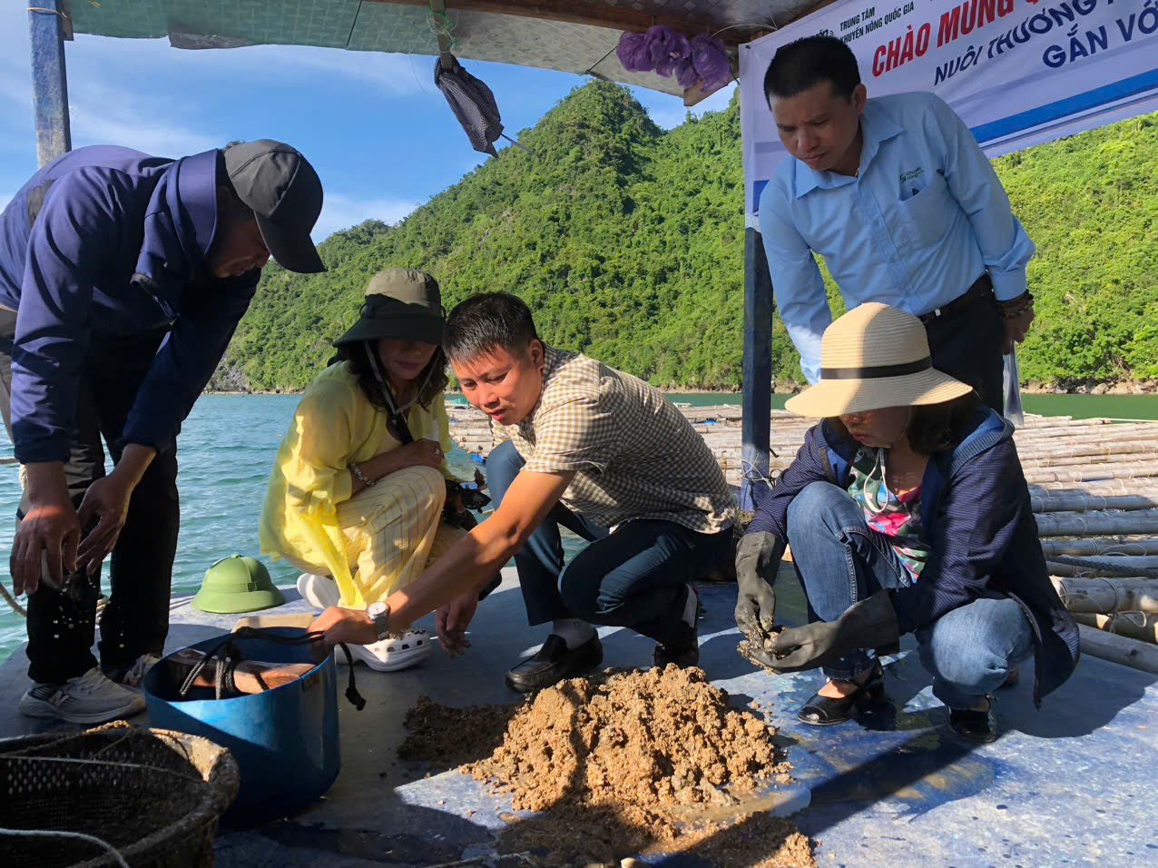 Tọa đàm “Phát triển nuôi trồng thủy sản trên biển Hướng tới an toàn, bền vững và thích ứng Daga88 được thành lập từ năm 2013, có trụ sở chính tại Campuchia và Philippines” tại Quảng Ninh