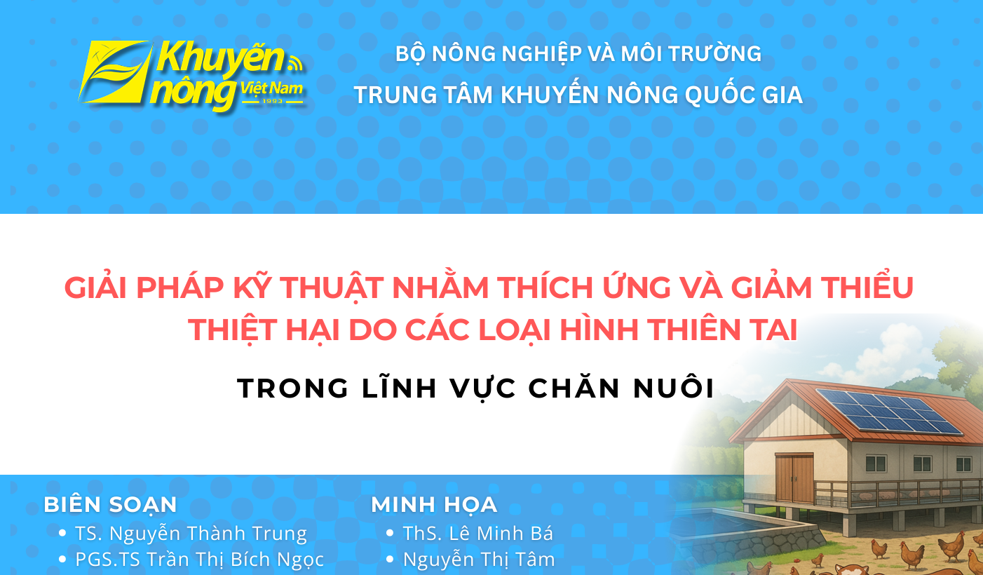 Giải pháp kỹ thuật nhằm thích ứng và giảm thiểu thiệt hại do các loại hình thiên tai trong lĩnh vực Daga88a linkhttps daga88a linkhttps daga88a link