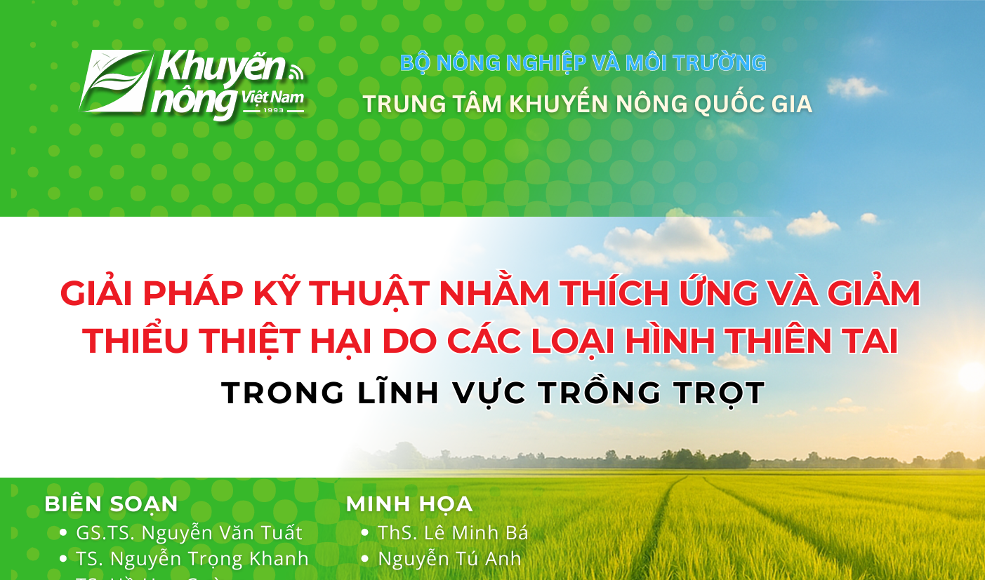 Giải pháp kỹ thuật nhằm thích ứng và giảm thiểu thiệt hại do các loại hình thiên tai trong lĩnh vực trồng trọt
