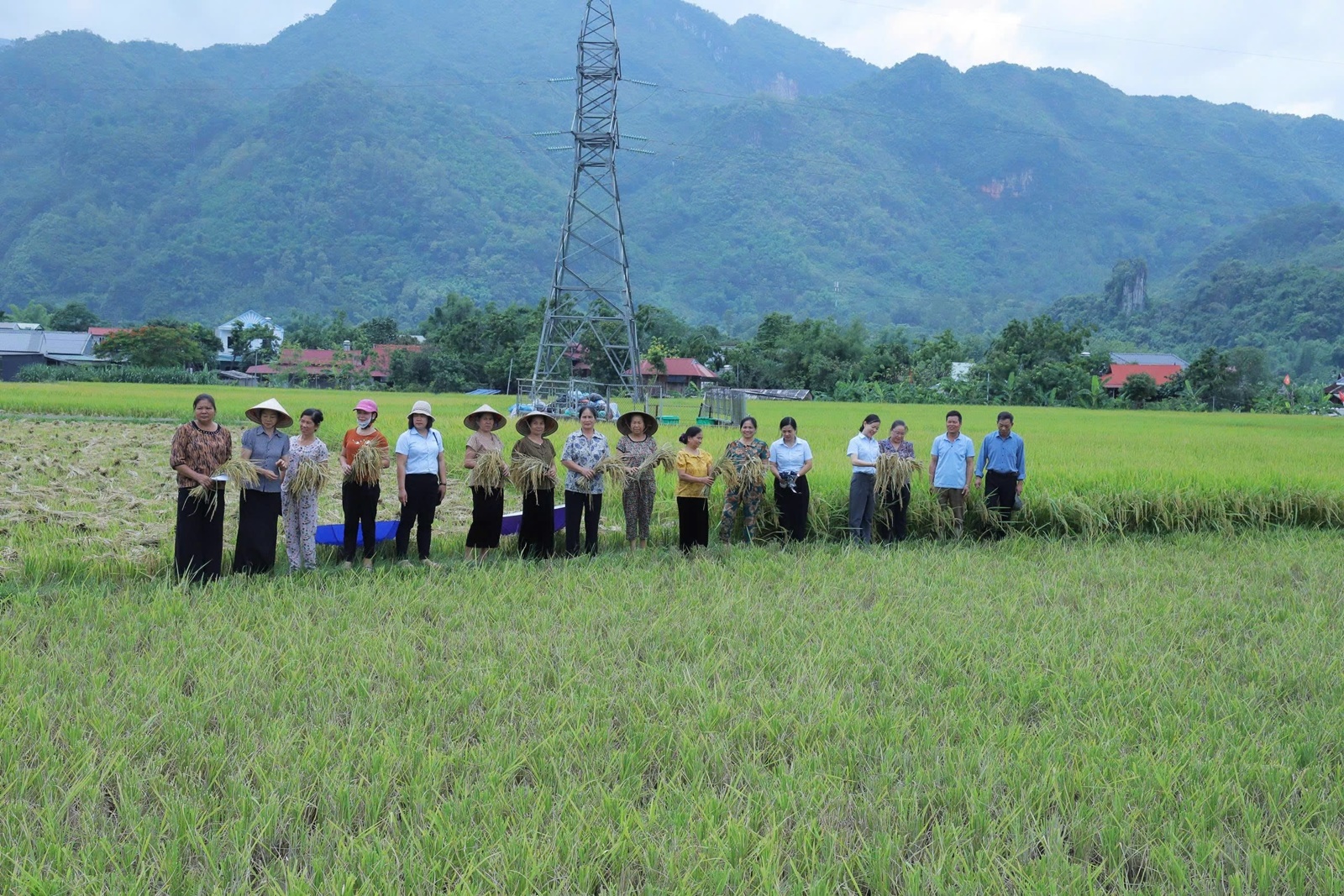 Sơn La Đẩy mạnh phát triển Daga6789 đá gà trực tiếp hàng đầu hiện nay tuần hoàn