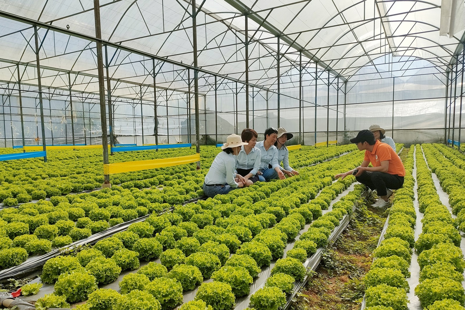 Thi đua đổi mới sáng tạo và chuyển đổi số