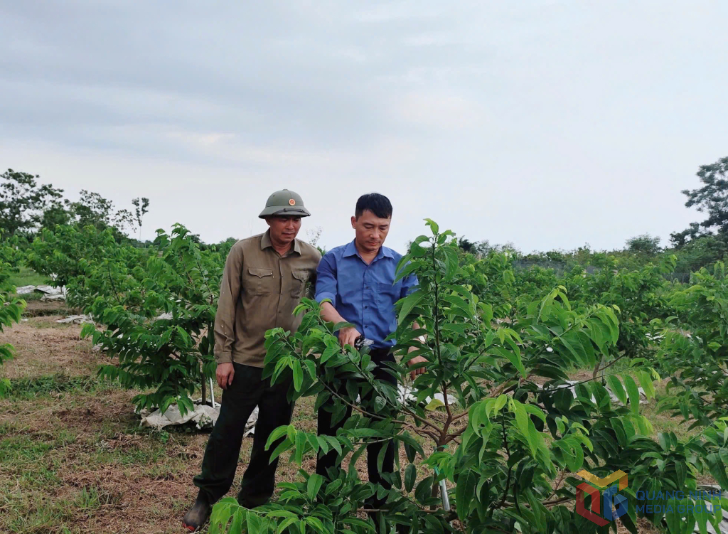 Quảng Ninh Thành lập Daga88.com c3 link không chặn và Quản lý bảo vệ, phát triển rừng Mô hình “một đầu mối – đa chức năng”