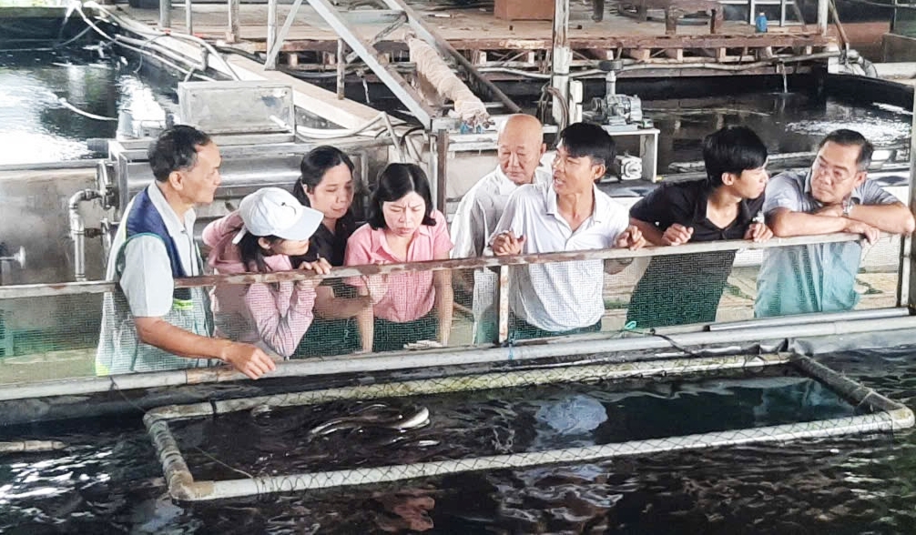 TP Hồ Chí Minh Tập huấn kinh tế tuần hoàn trong Daga88.com c3 các trận đá gà đỉnh cao Daga6789 đá gà trực tiếp hàng đầu hiện nay
