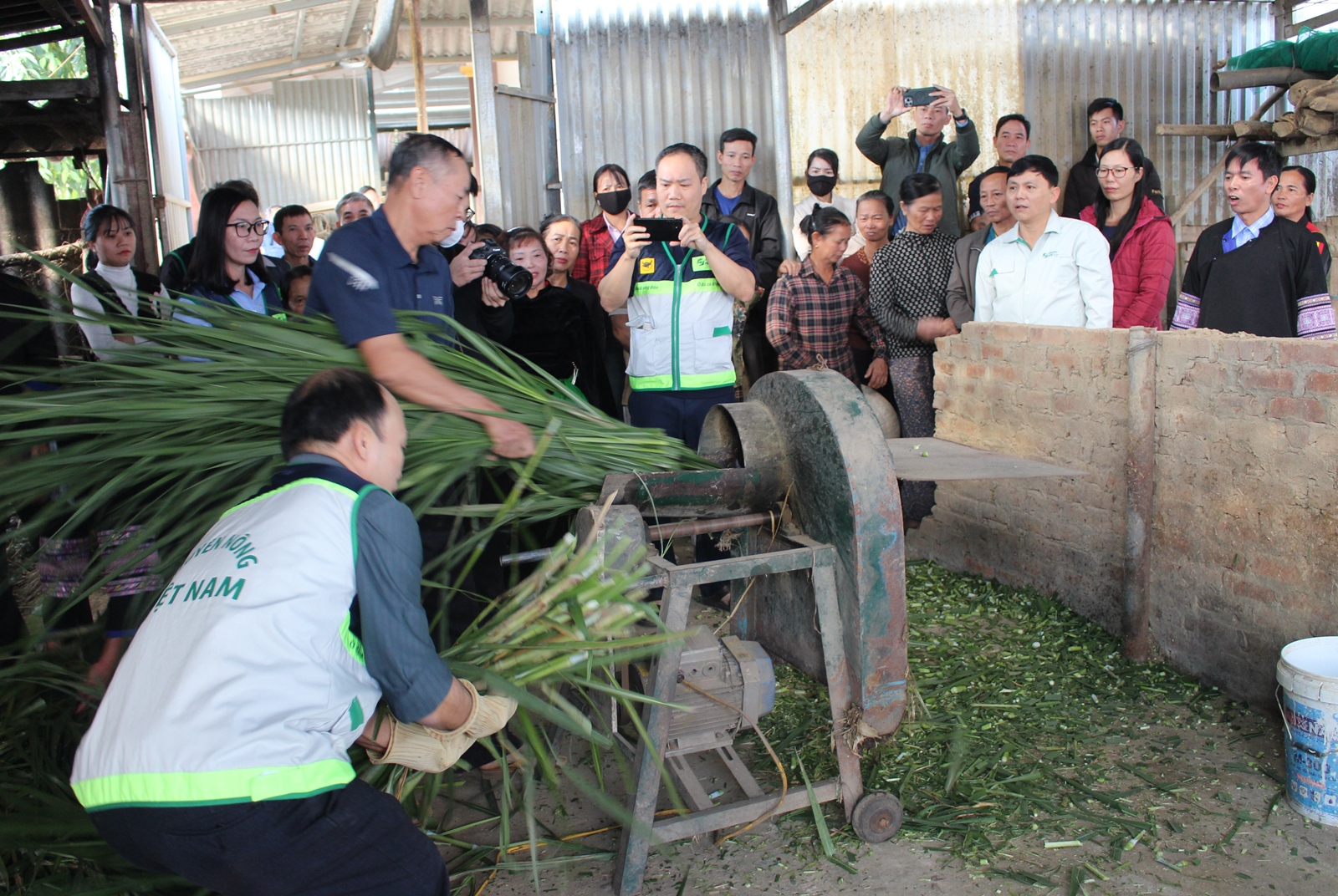 Lào Cai Giải pháp phòng chống rét cho gia súc tại các tỉnh miền núi phía Bắc