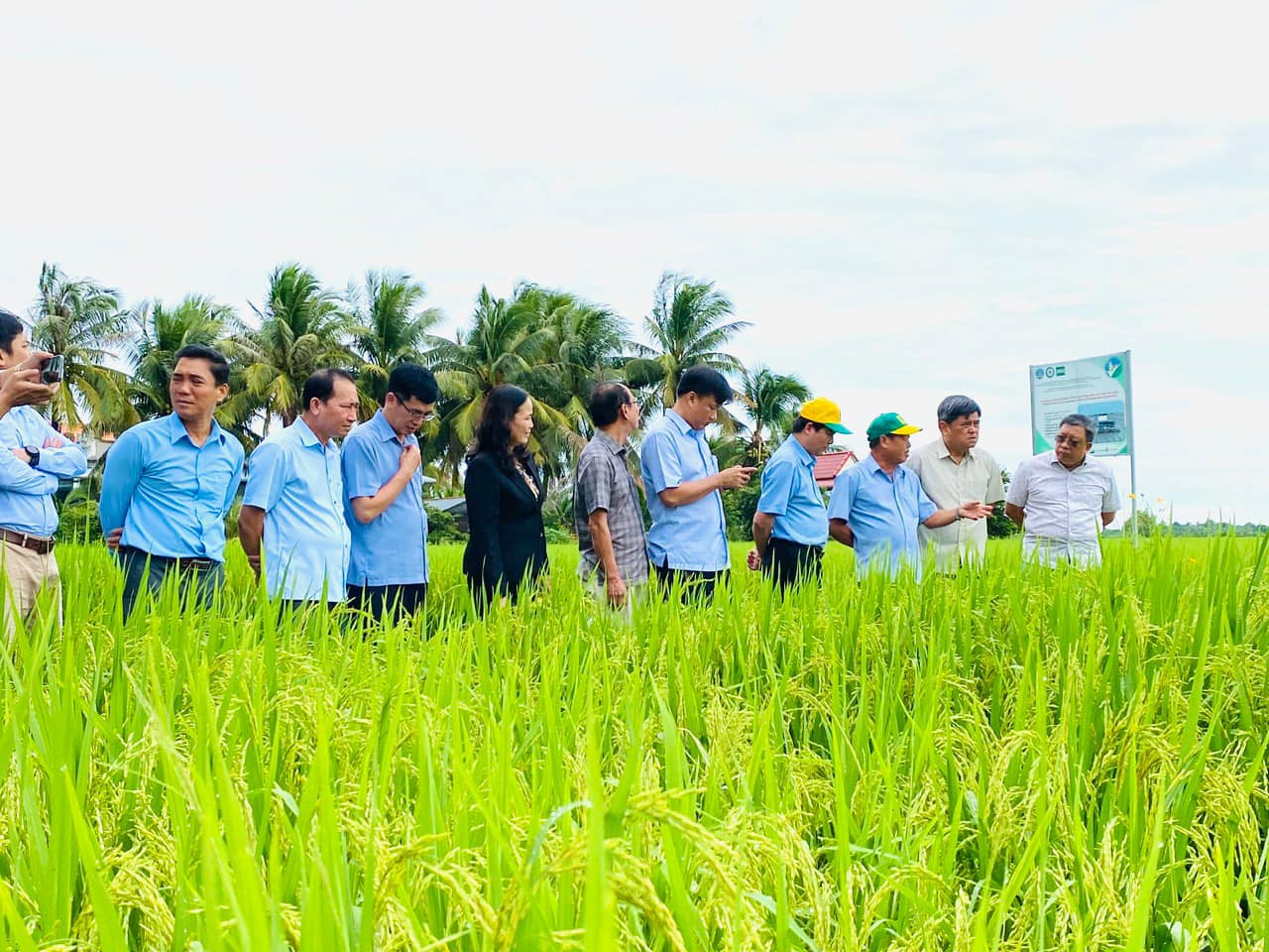 Hội nghị Triển khai quy trình MRV và quy trình Daga88.com c3 các trận đá gà đỉnh cao lúa chất lượng cao, phát thải thấp vùng Đồng bằng sông Cửu Long