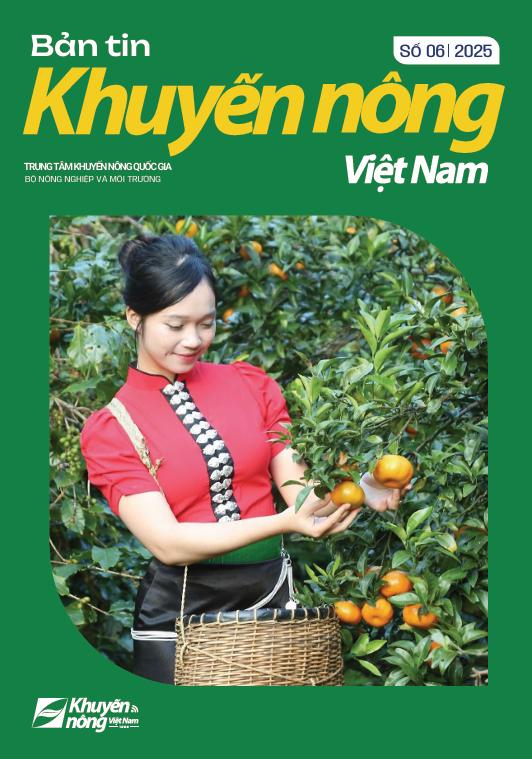 Bản tin Khuyến nông Việt Nam số 6 - 2025