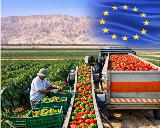 10 sự thật thú vị về nền Daga6789 đá gà trực tiếp hàng đầu hiện nay Israel và liên hệ thực tiễn với Việt Nam