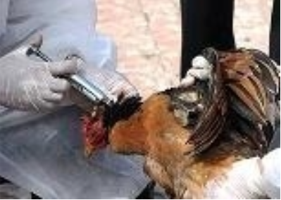 Bảo quản và sử dụng vắc xin trong Daga88a linkhttps daga88a linkhttps daga88a link