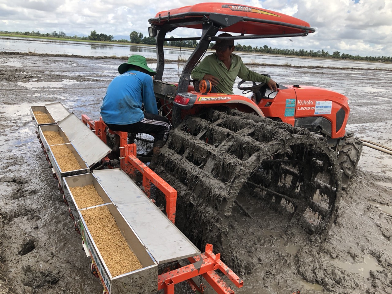 An Giang “Cánh đồng lớn” đáp ứng vùng nguyên liệu