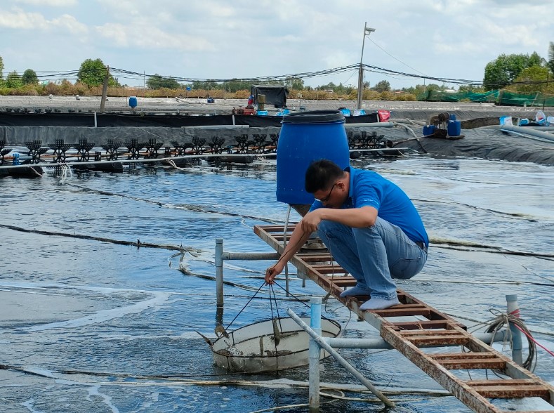 Nông nghiệp Vĩnh Long “hóa giải” áp lực cho ngành nuôi trồng thủy sản trong bối cảnh biến động giá nhiên liệu và chi phí đầu vào