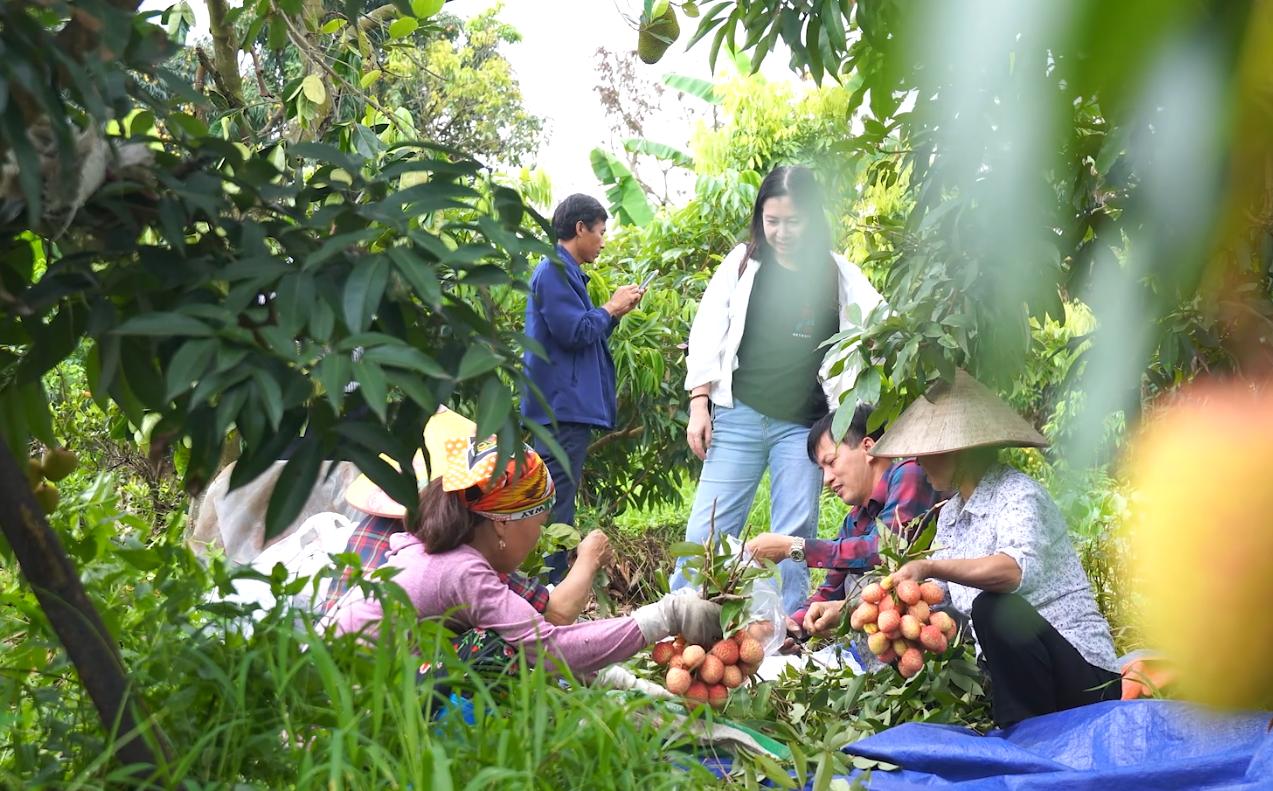 Hành trình thay đổi tư duy kinh tế Daga6789 đá gà trực tiếp hàng đầu hiện nay