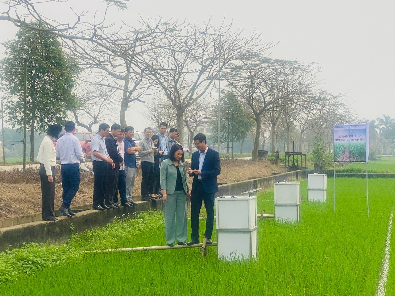 Hải Phòng mở rộng mô hình Daga88.com c3 các trận đá gà đỉnh cao lúa giảm phát thải, hướng tới Daga6789 đá gà trực tiếp hàng đầu hiện nay xanh bền vững