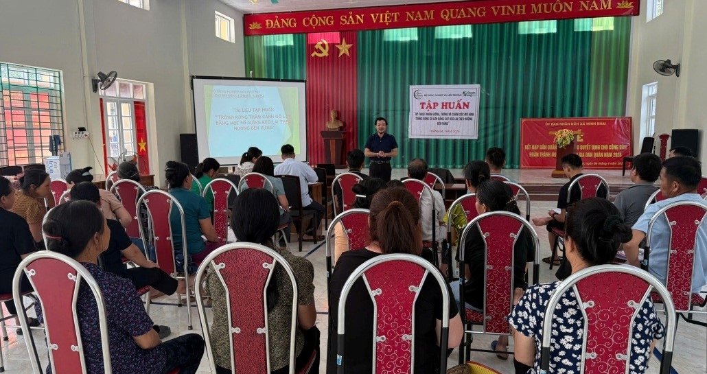 Cao Bằng Tập huấn trồng rừng thâm canh gỗ lớn bằng một số giống keo lai theo hướng bền vững