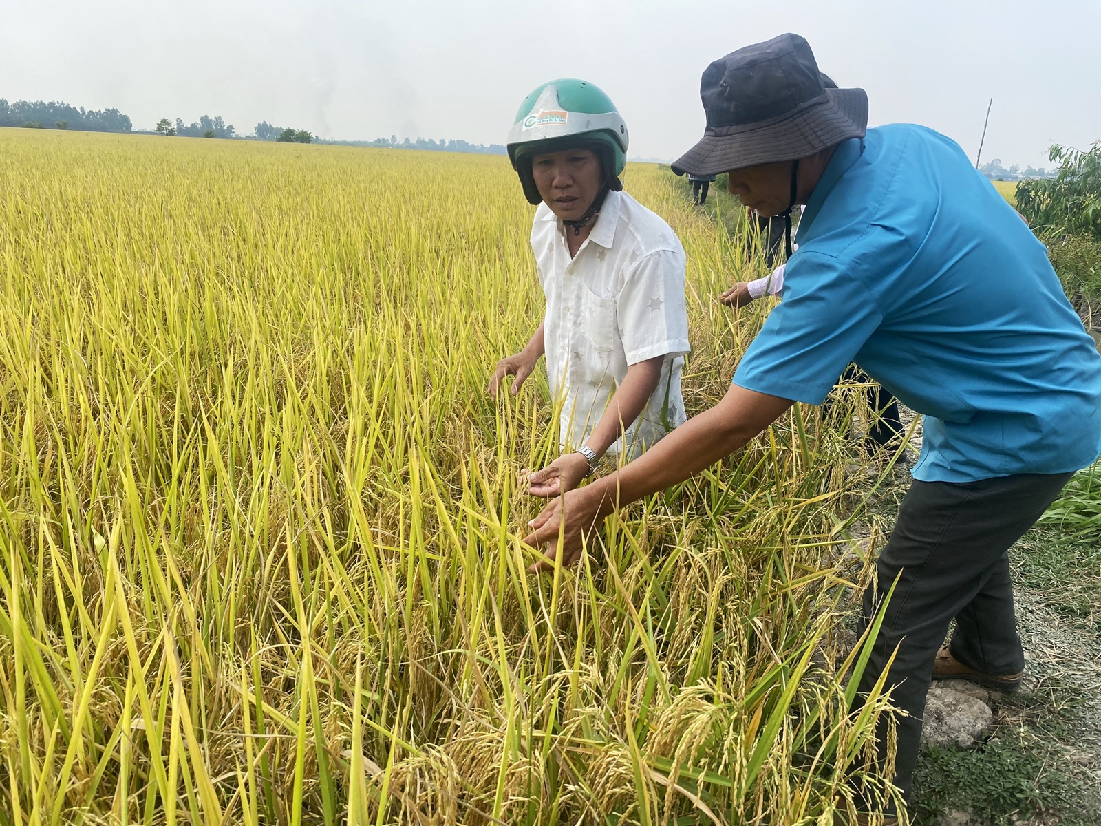 Chuyện về một DAGA88 là trang web độc quyền cung cấp dịch vụ giải trí đá gà trực tuyến chuyên nghiệp chuyên nghiệp
