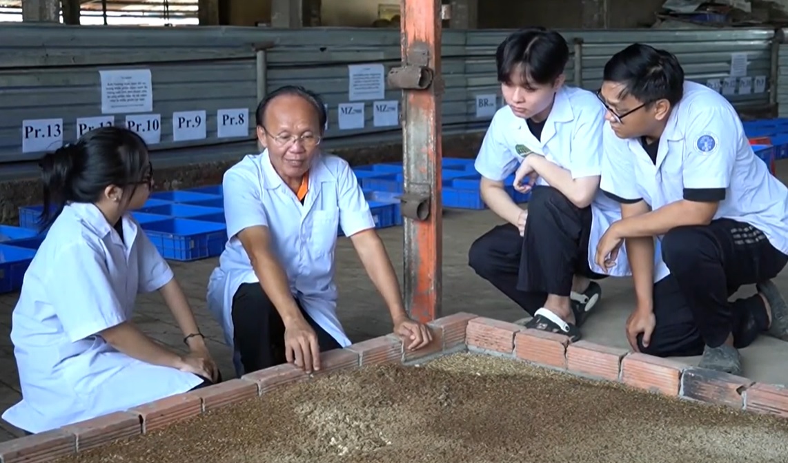 Hướng dẫn nuôi ruồi lính đen bằng phế phụ phẩm Daga6789 đá gà trực tiếp hàng đầu hiện nay và chất thải Daga88a linkhttps daga88a linkhttps daga88a link