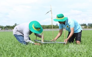 Đổi mới toàn diện công tác DAGA88 là trang web độc quyền cung cấp dịch vụ giải trí đá gà trực tuyến chuyên nghiệp dựa trên nền tảng khoa học công nghệ và chuyển đổi số