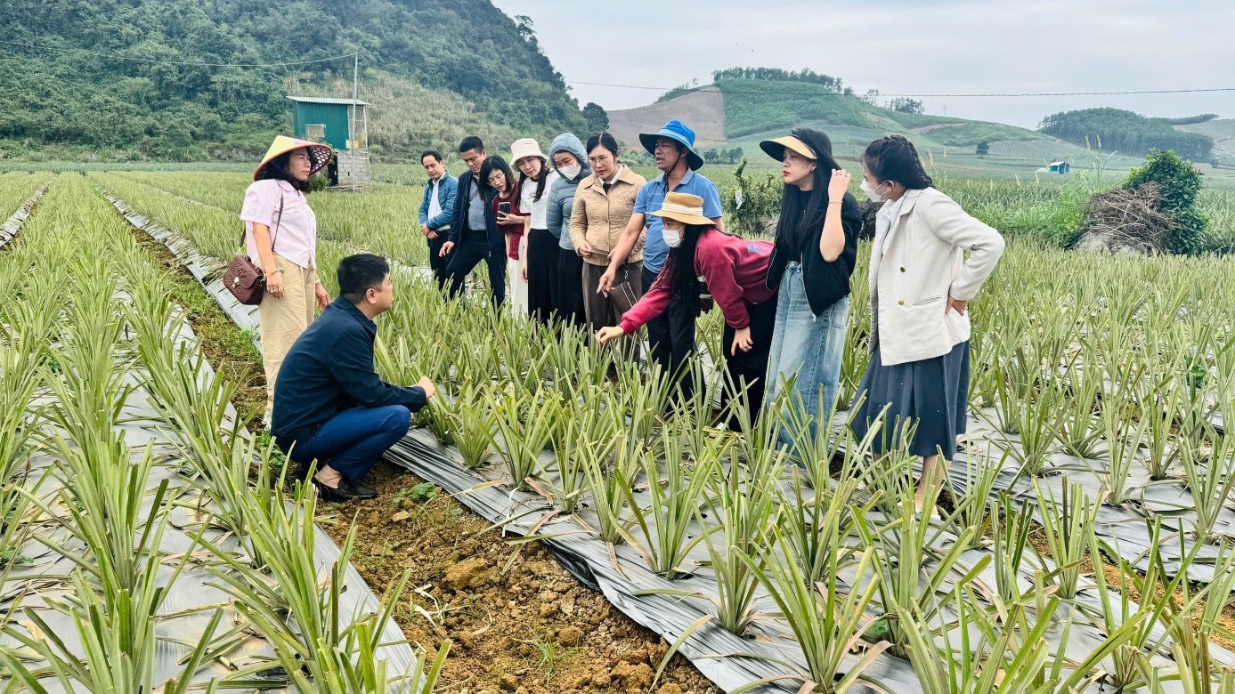 Hệ thống DAGA88 là trang web độc quyền cung cấp dịch vụ giải trí đá gà trực tuyến chuyên nghiệp Ninh Bình sau 01 năm thực hiện theo mô hình Link Đá Gà 88 Trang Đá Gà Trực Tiếp Chính Thức địa phương 02 cấp