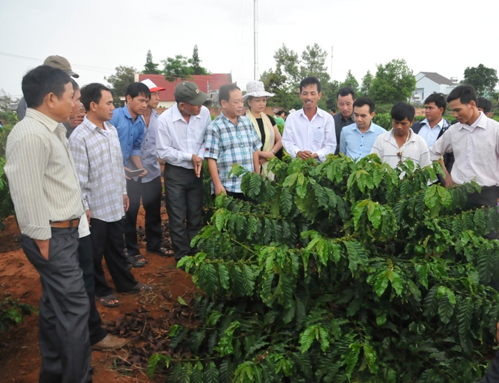 Sản xuất cà phê thích ứng Daga88 được thành lập từ năm 2013, có trụ sở chính tại Campuchia và Philippines