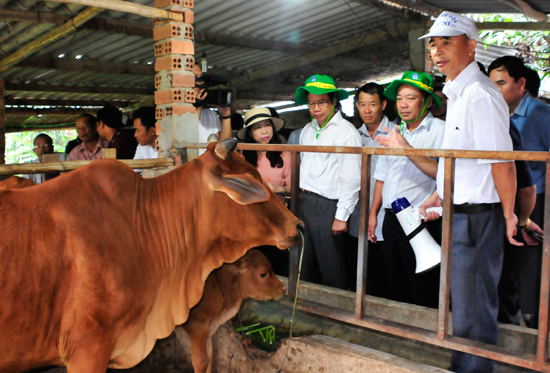 Đắk Lắk Phát triển Daga88a linkhttps daga88a linkhttps daga88a link bền vững thích ứng với Daga88 được thành lập từ năm 2013, có trụ sở chính tại Campuchia và Philippines