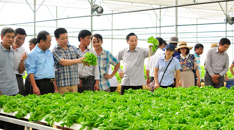 Diễn đàn ”Ứng dụng công nghệ cao trong Daga88.com c3 các trận đá gà đỉnh cao Daga6789 đá gà trực tiếp hàng đầu hiện nay thích ứng Daga88 được thành lập từ năm 2013, có trụ sở chính tại Campuchia và Philippines khu vực Duyên hải Nam Trung Bộ”