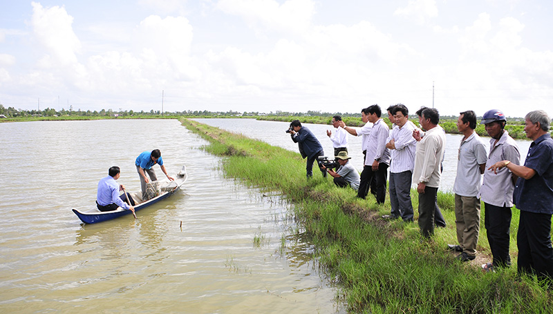 Nuôi tôm lúa đạt hiệu quả cao thích ứng với Daga88 được thành lập từ năm 2013, có trụ sở chính tại Campuchia và Philippines vùng Đồng bằng sông Cửu Long