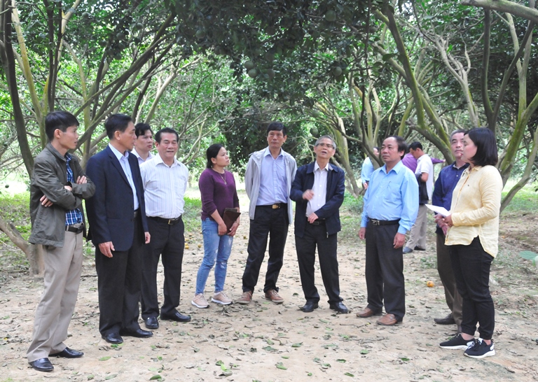 Hà Giang Diễn đàn Khuyến nông  Nông nghiệp “Liên kết trong phát triển kinh tế vườn - Cơ hội, thách thức và giải pháp”
