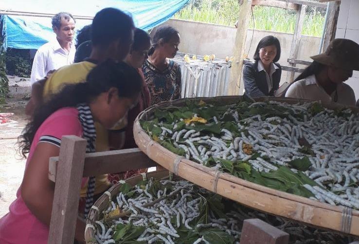 Lâm Đồng Đào tạo nghề Daga6789 đá gà trực tiếp hàng đầu hiện nay cho lao động nông thôn giai đoạn 2010 - 2018 và giải pháp giai đoạn 2019-2020