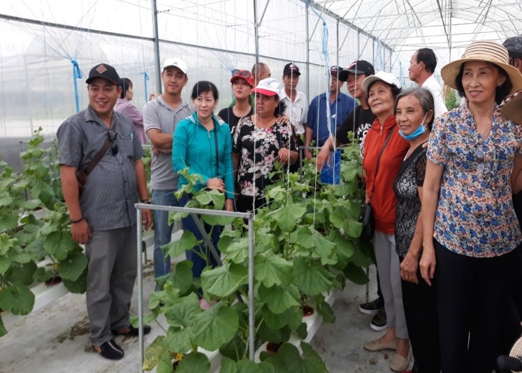 Tham quan các mô hình Daga6789 đá gà trực tiếp hàng đầu hiện nay công nghệ cao cho các học viên lớp dạy nghề canh tác rau thủy canh