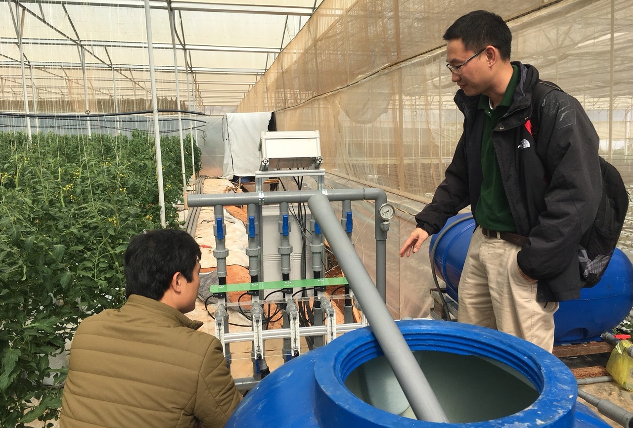 Lâm Đồng Ứng dụng IoT trong canh tác cây dâu tây, cà chua