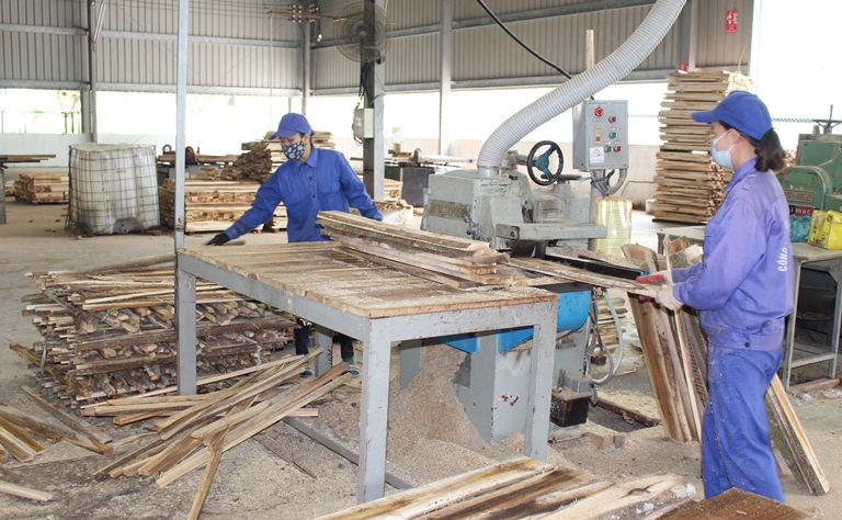 Giải pháp phát triển rừng gỗ lớn cung cấp nguyên liệu cho Daga88.com c3 các trận đá gà đỉnh cao đồ gỗ ĐÁ GÀ 88 | Trực Tiếp Đá Gà THOMO [CPC1 CPC2 CPC3