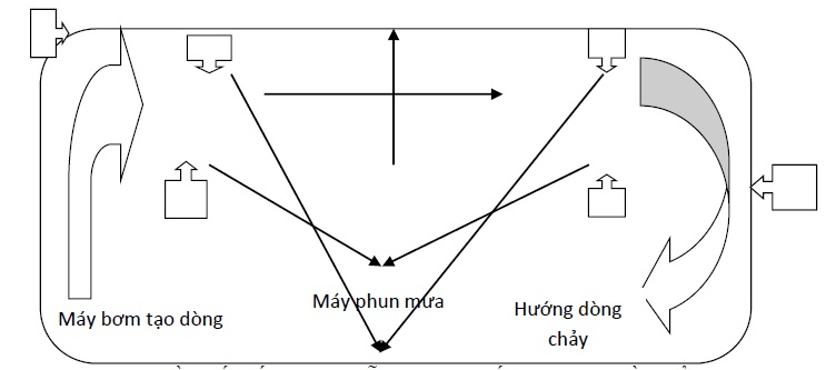 Quy trình công nghệ Daga88.com c3 các trận đá gà đỉnh cao giống cá chiên Phần 1 Nuôi vỗ cá bố mẹ
